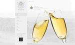 冰酒果酒公司官方网站首页设计