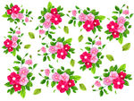 牵牛花
