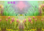 郁金香花朵视频背景
