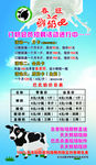 春旺鲜奶吧