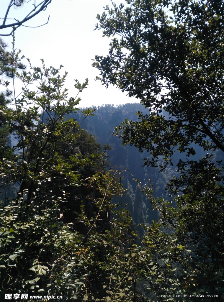 湖南武陵源风景区