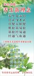 养生新理念