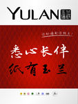 玉兰墙纸