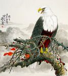 郑路迅猛禽鹰工笔画万里江山
