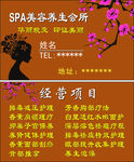 美容名片