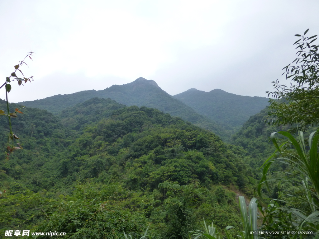 山中风光