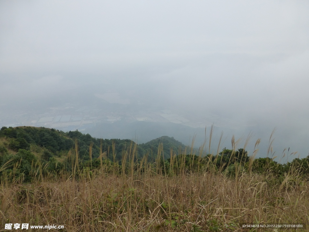 山中风光