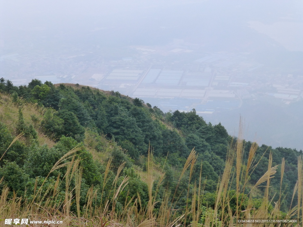 山中风光
