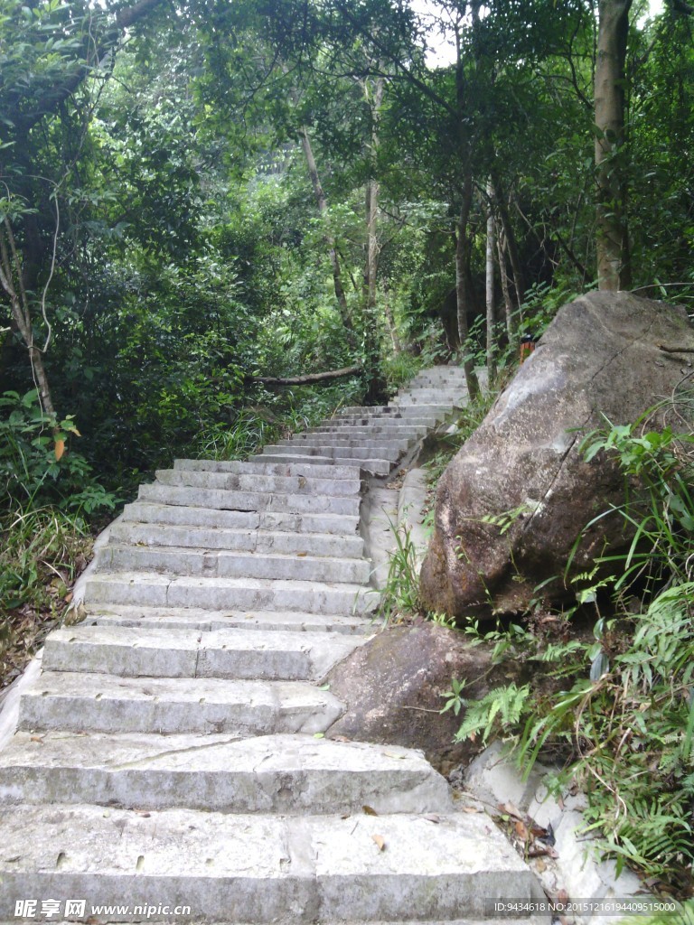 山中道路阶梯