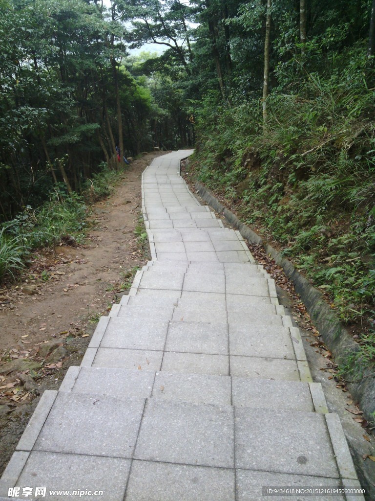 山中道路
