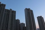 城市