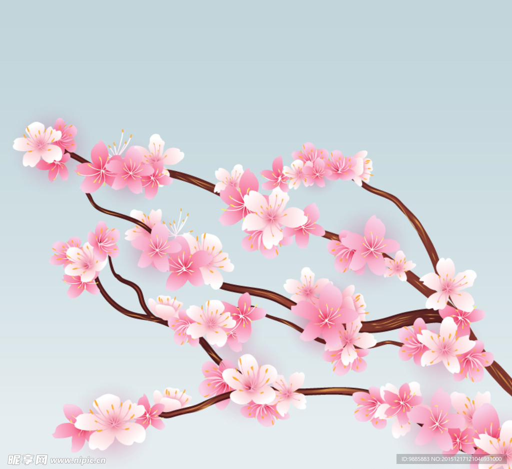 粉色樱花