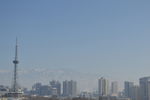 城市