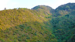 金黄山林 大山 山野 山林冬景