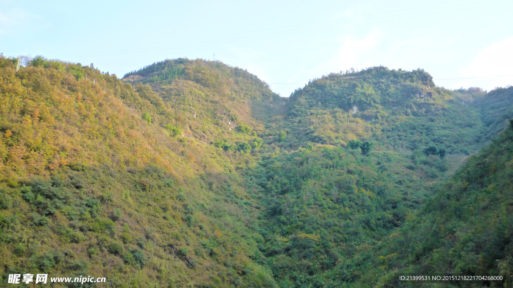 冬景 山林 大山 山林