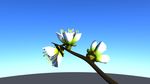 精致花朵天空maya3d渲染