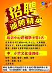 招聘老师