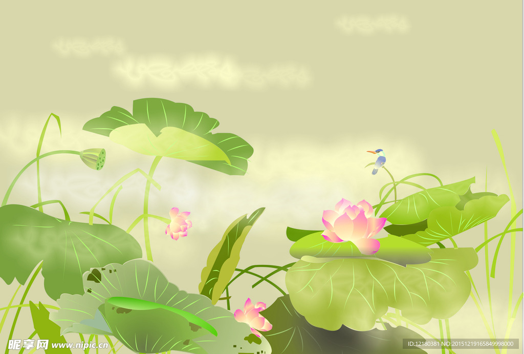 荷花