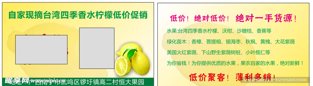 水果名片