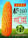 春亿种业