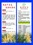 春亿种业