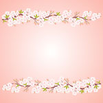 桃花花枝