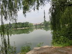 北京清华大学