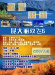 昆大丽