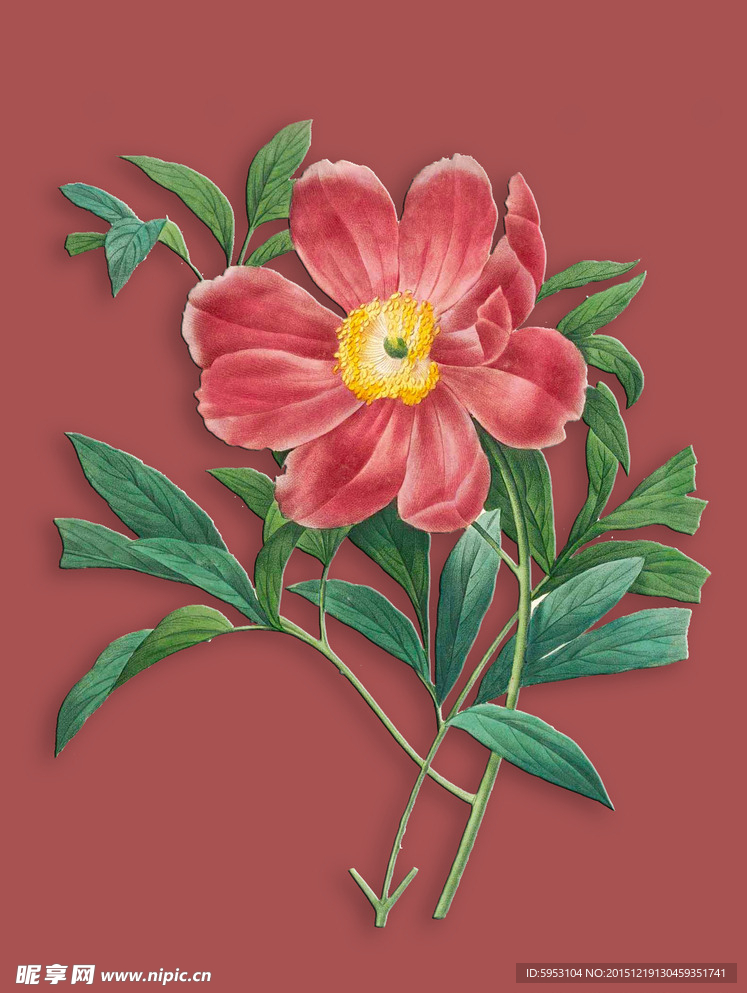 复古花素材大花