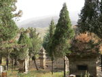 嵩山少林寺塔林