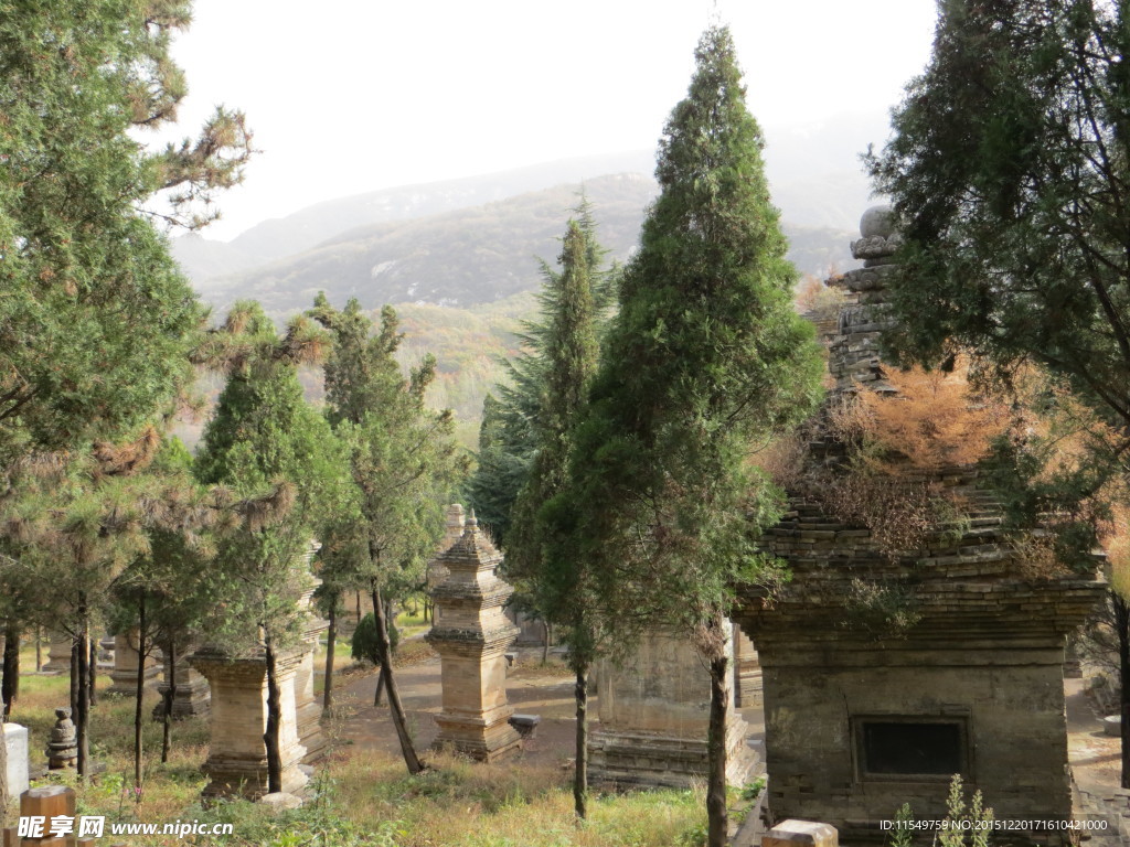 嵩山少林寺塔林