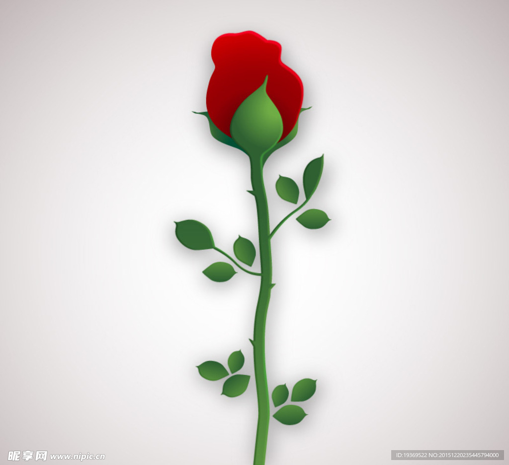 玫瑰花