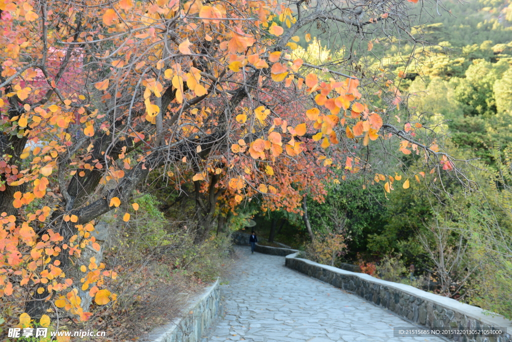 香山景区