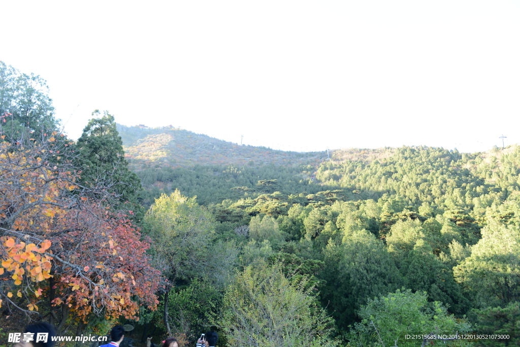 香山景区