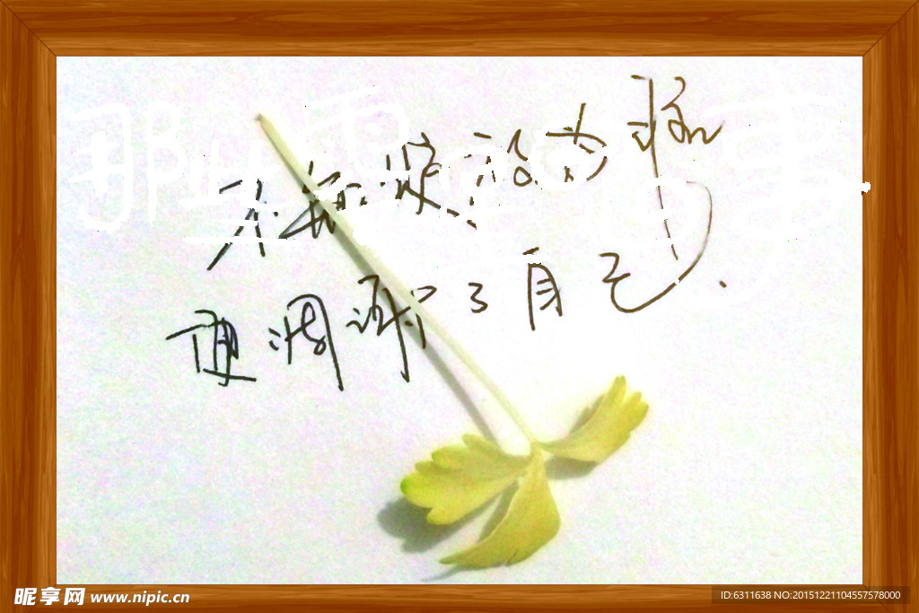 木画框