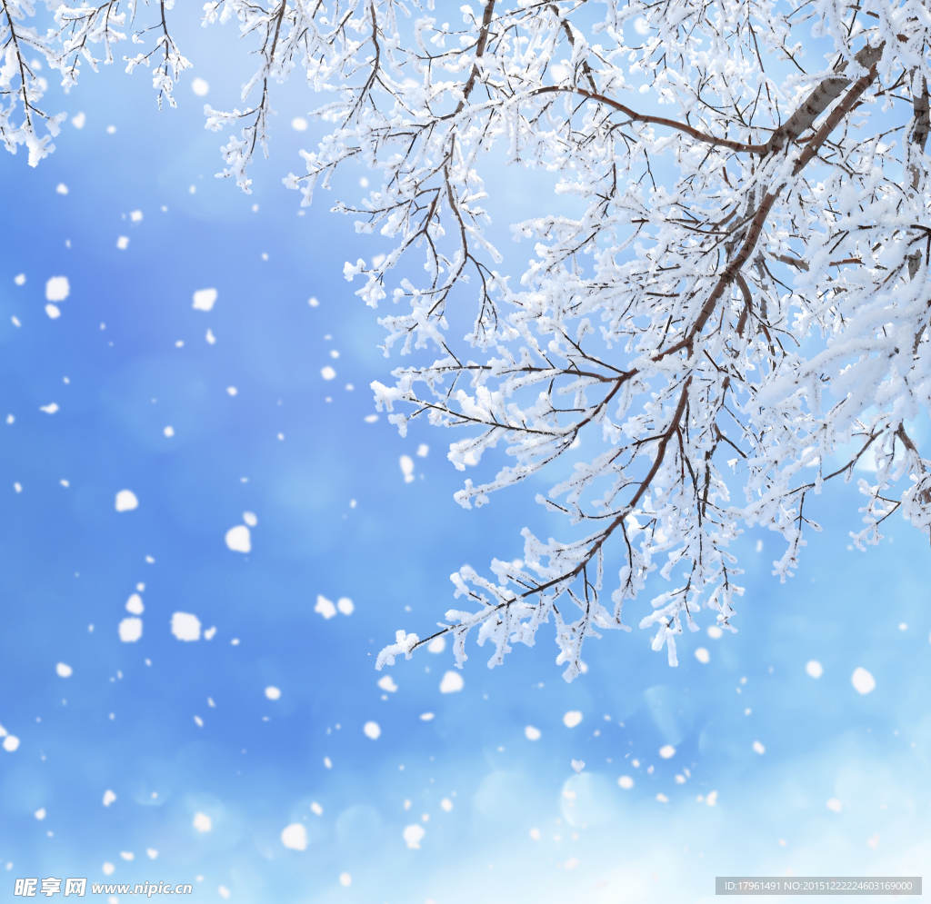 冰雪背景