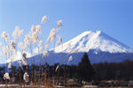 冬天的富士山