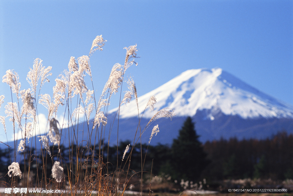 冬天的富士山