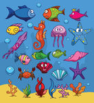 海底生物