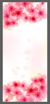 炫丽 花朵展架