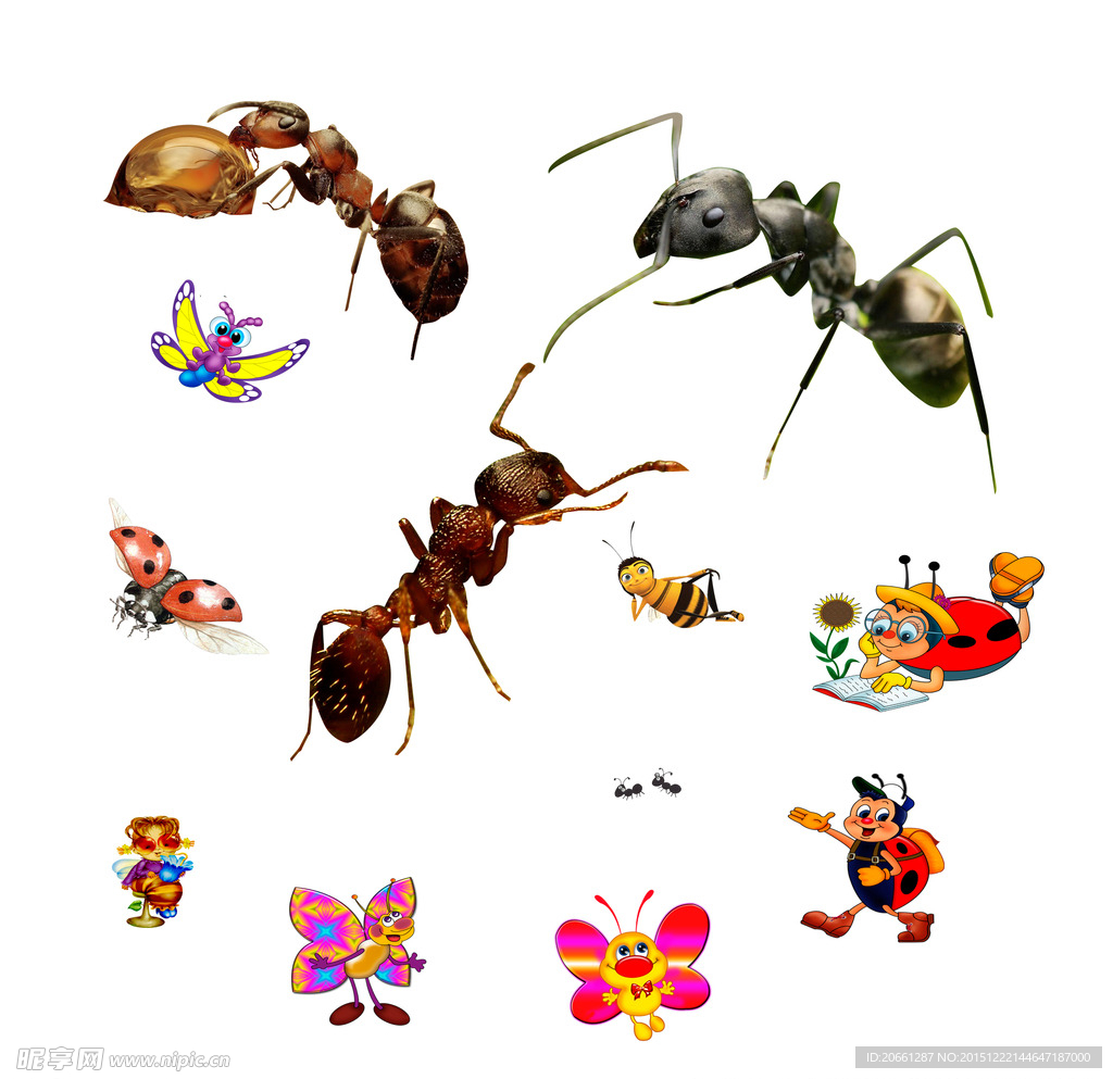 蚂蚁 卡通七星瓢虫