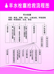 羊水栓塞抢救流程