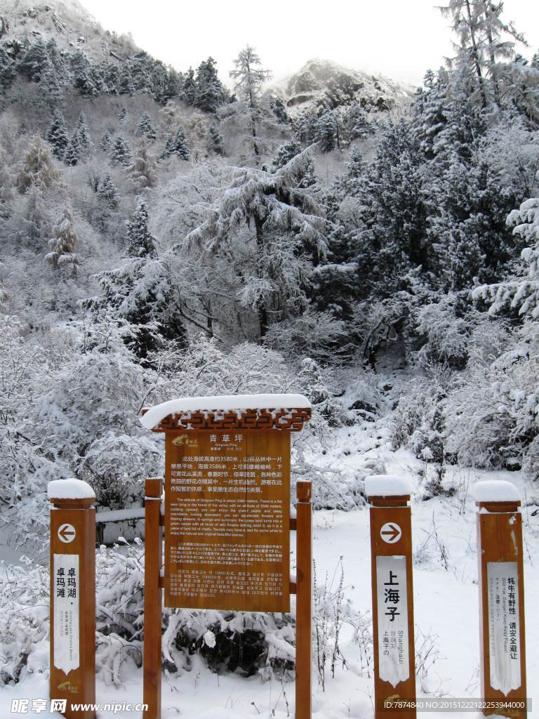 毕棚沟雪山