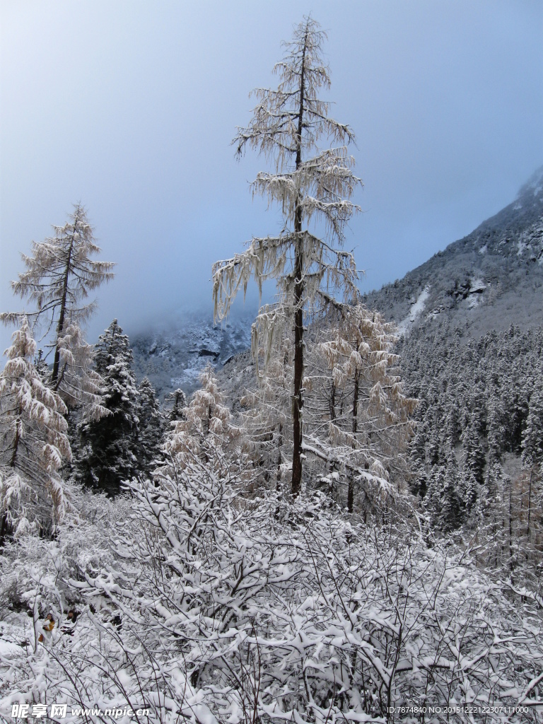 毕棚沟雪山