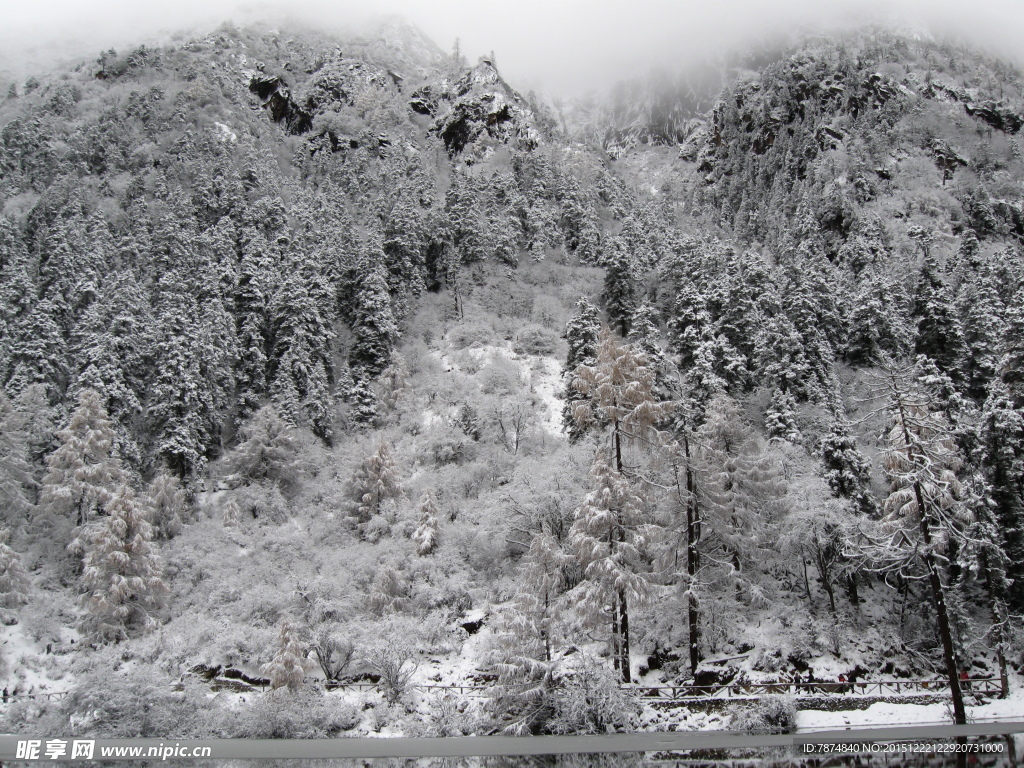 毕棚沟雪山