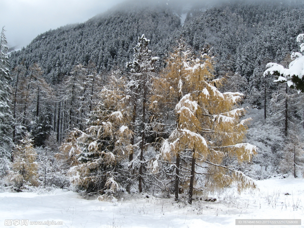 毕棚沟雪山