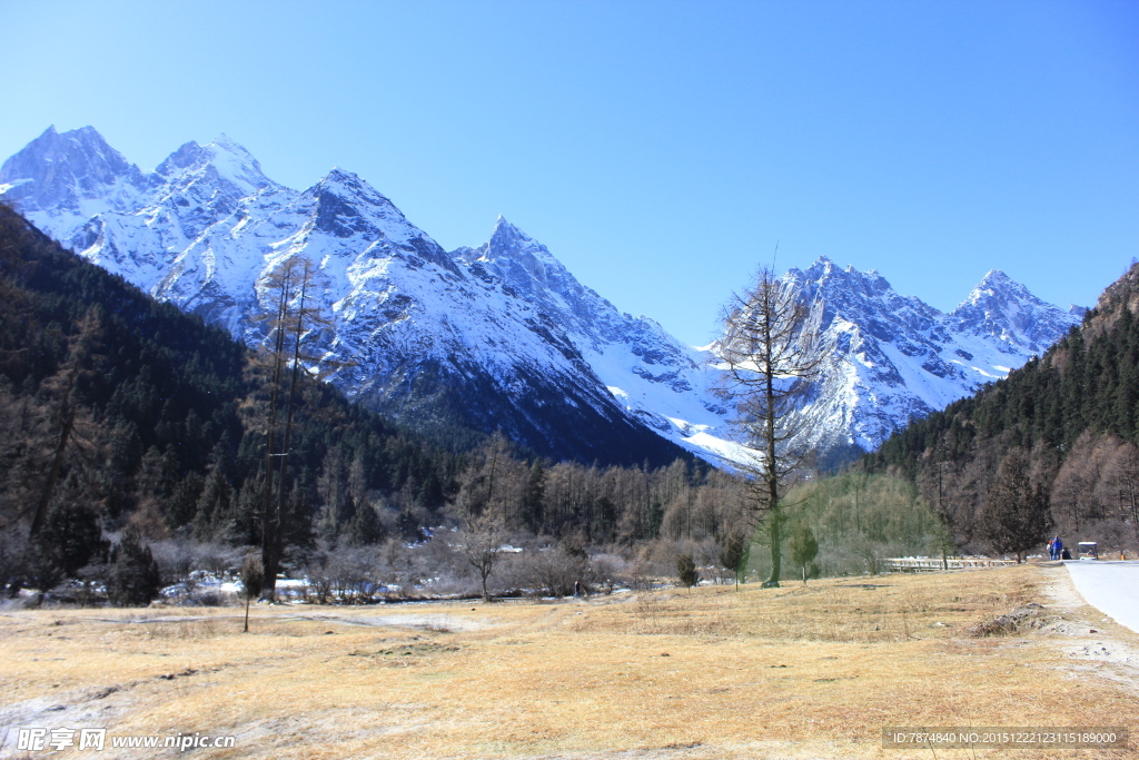 毕棚沟雪山