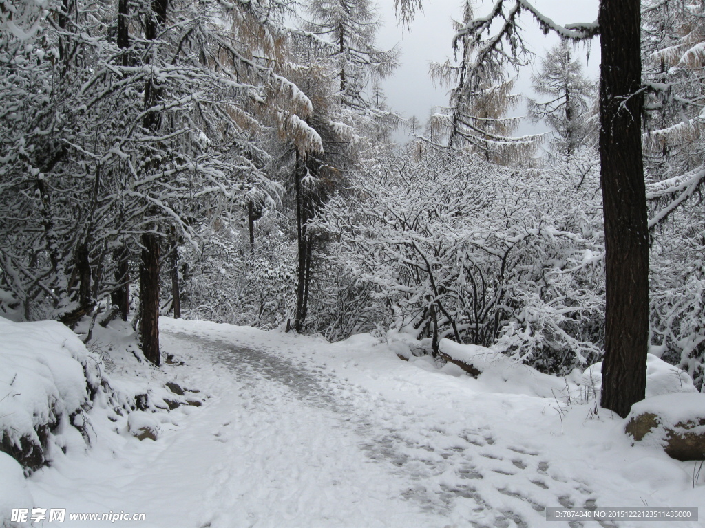 毕棚沟雪山