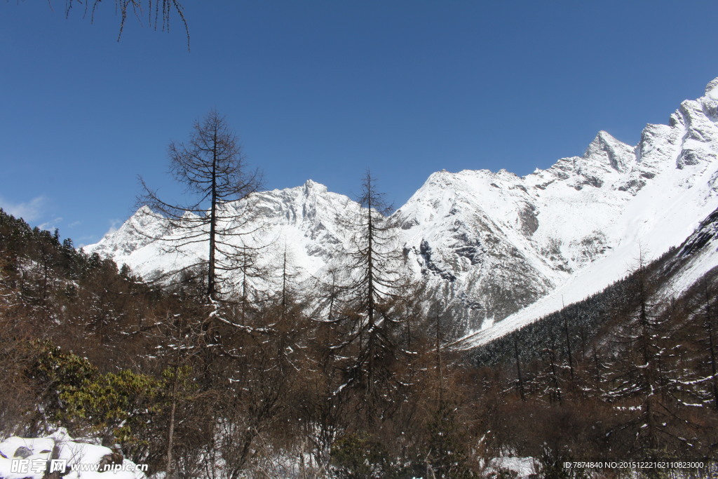 毕棚沟雪山