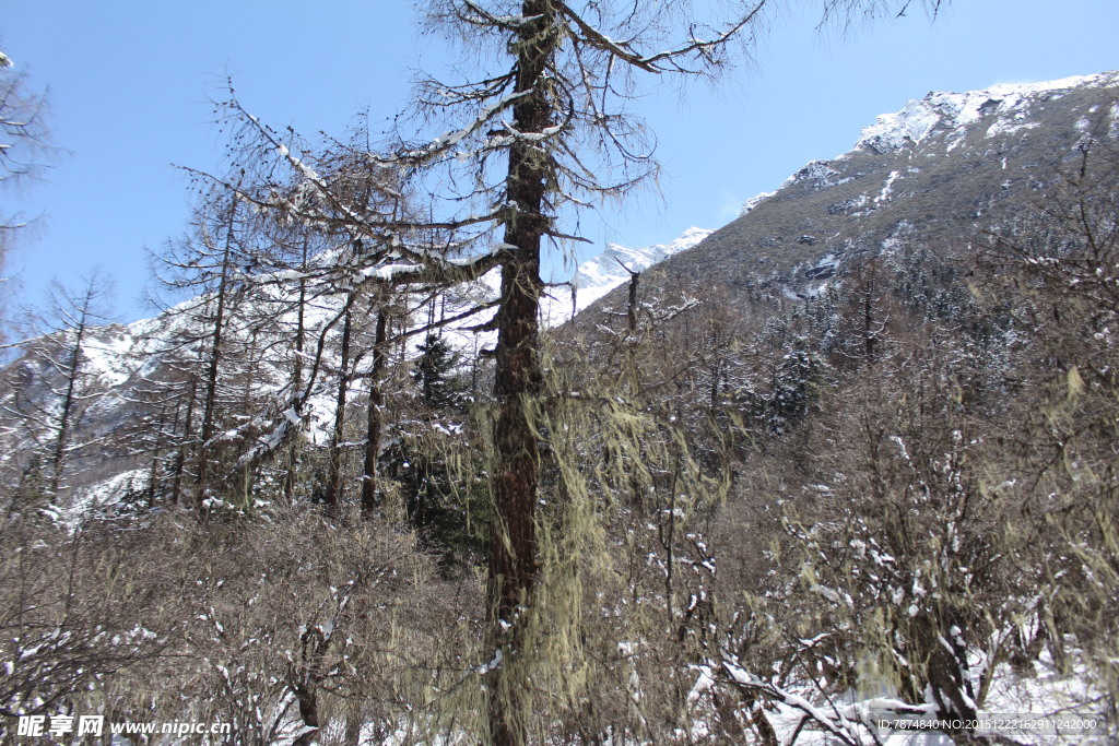 毕棚沟雪山
